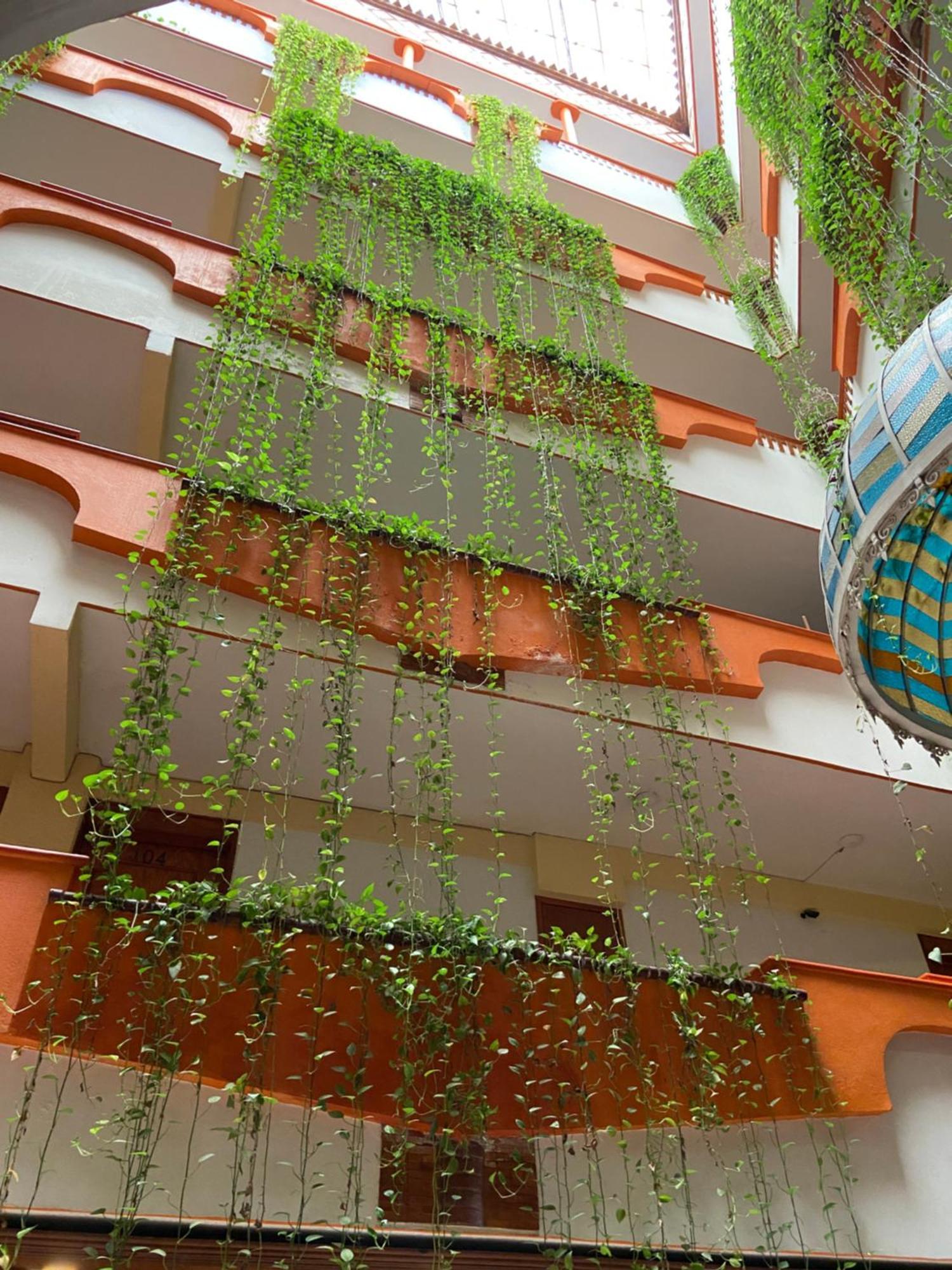 Hotel Báez Carrizal Villahermosa Exterior foto
