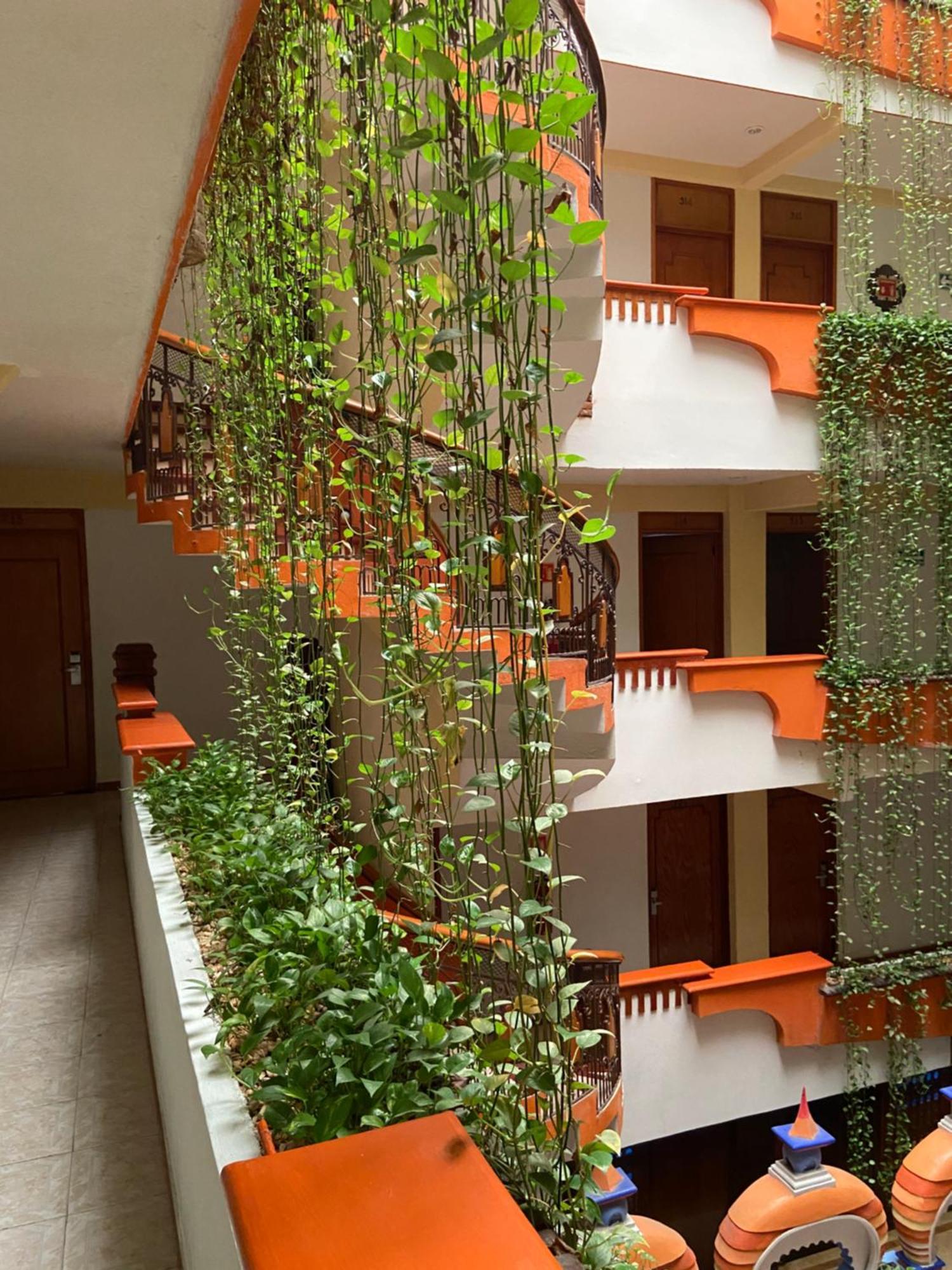 Hotel Báez Carrizal Villahermosa Exterior foto